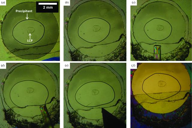 [Figure 1]