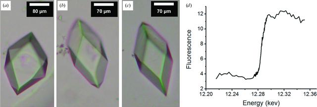 [Figure 10]