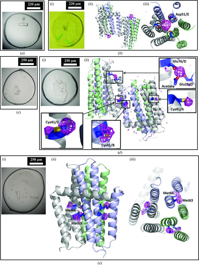 [Figure 11]