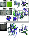 [Figure 11]