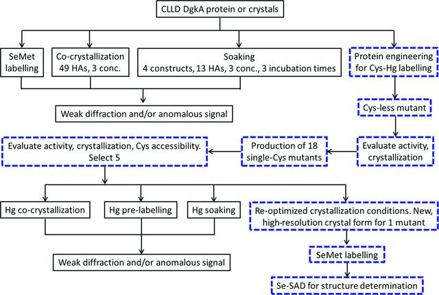 [Figure 12]