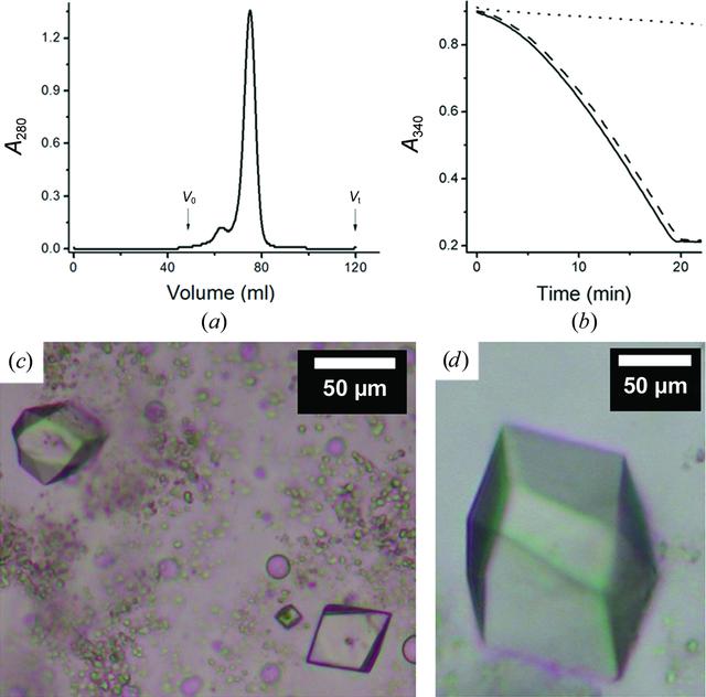 [Figure 3]