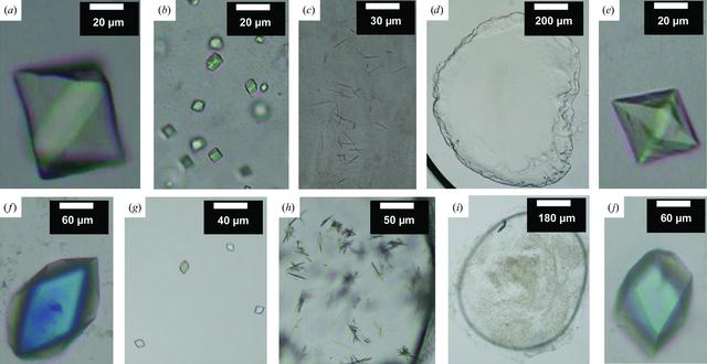 [Figure 4]