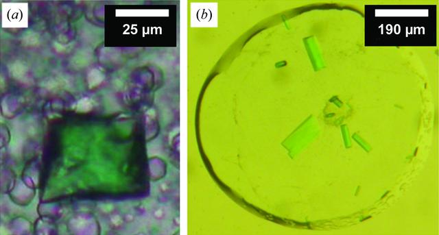 [Figure 5]