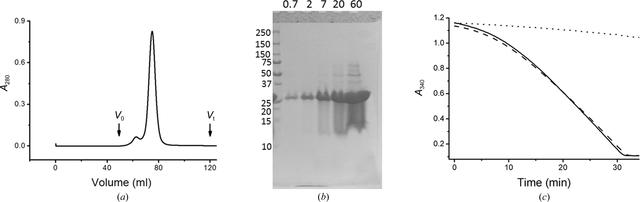 [Figure 7]