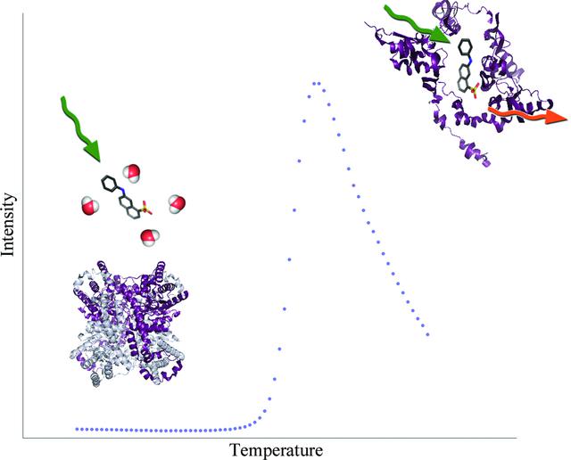 [Figure 1]