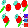[Figure 3]