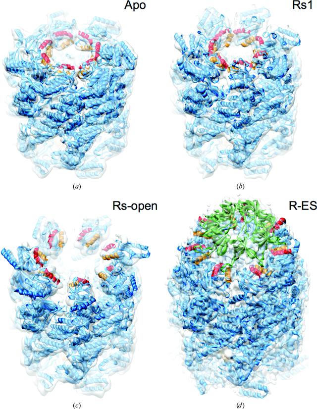 [Figure 2]