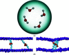 [Figure 3]