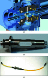[Figure 5]