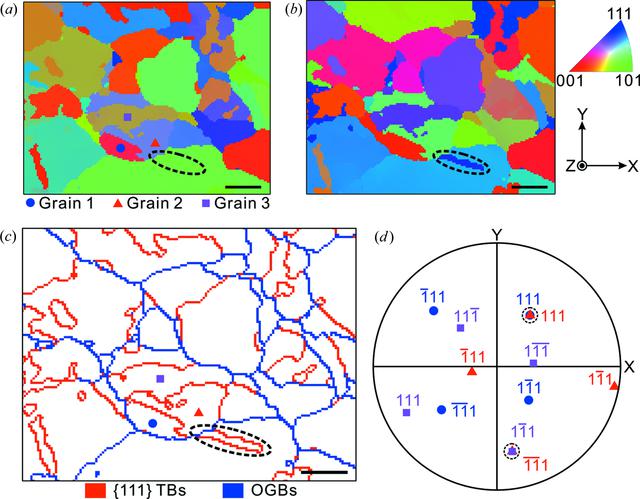 [Figure 3]