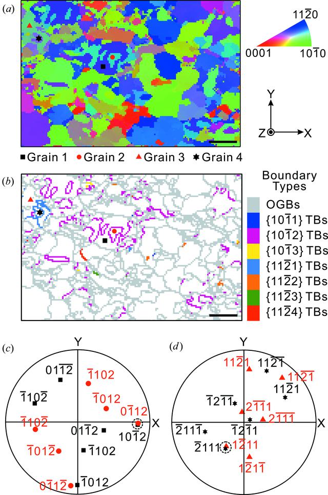 [Figure 4]
