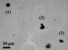 [Figure 4]