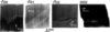 [Figure 7]