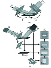 [Figure 3]