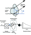[Figure 1]