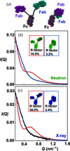 [Figure 4]