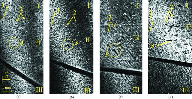 [Figure 3]