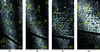 [Figure 3]