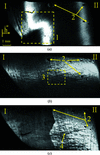 [Figure 4]