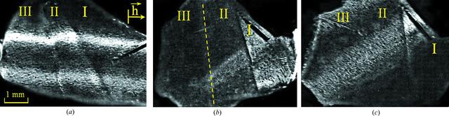 [Figure 5]