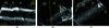 [Figure 5]