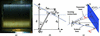 [Figure 1]