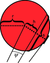 [Figure 3]