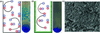 [Figure 4]