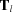 [{{\bf{T}}_l}]