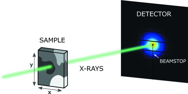 [Figure 1]