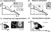 [Figure 3]