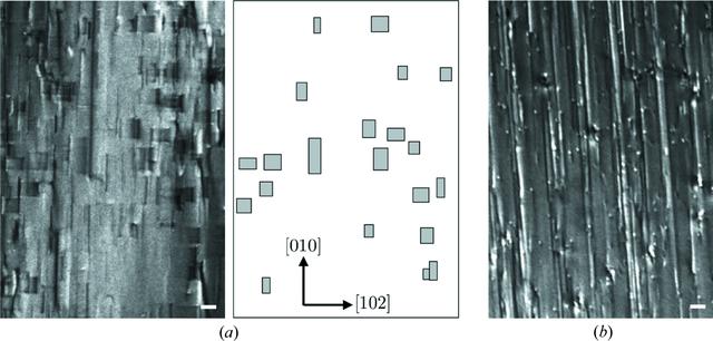 [Figure 3]