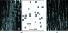 [Figure 3]
