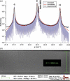 [Figure 2]