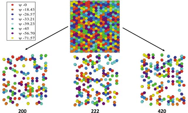 [Figure 4]