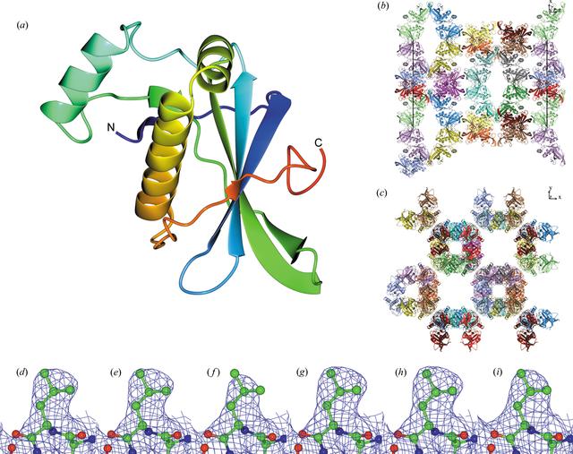 [Figure 1]