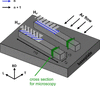 [Figure 1]