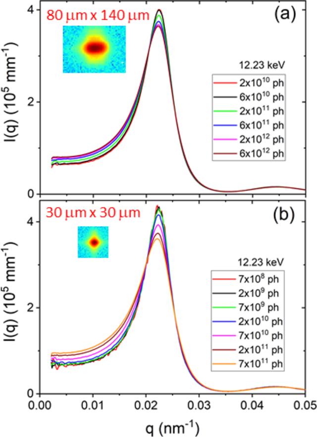 [Figure 6]