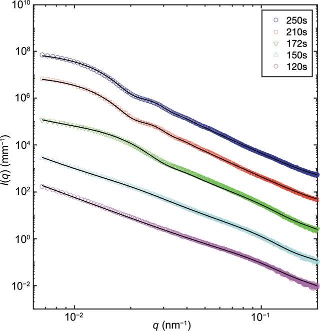 [Figure 4]