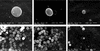 [Figure 9]