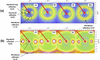 [Figure 1]