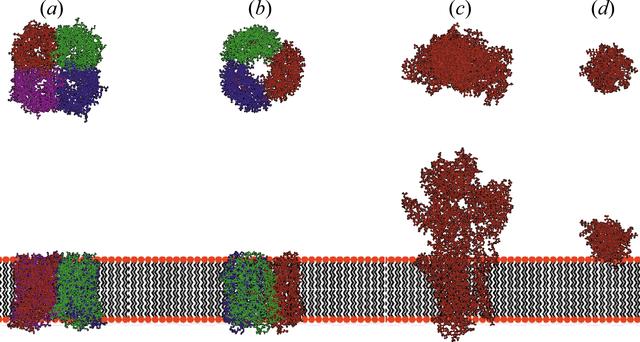 [Figure 6]