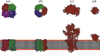 [Figure 6]