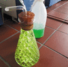 [Figure 11]