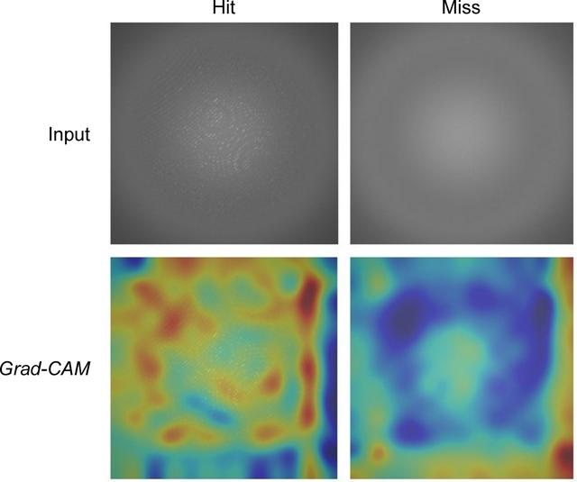 [Figure 10]