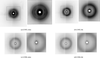 [Figure 2]