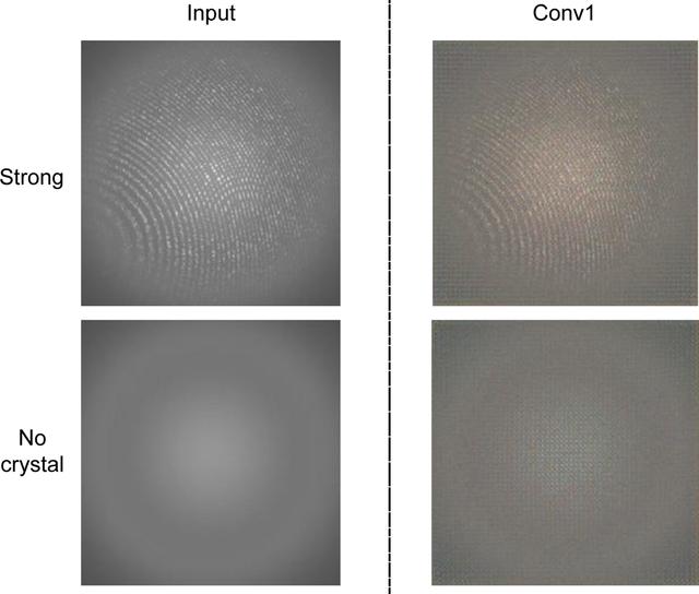 [Figure 7]