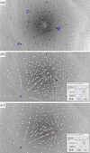[Figure 2]