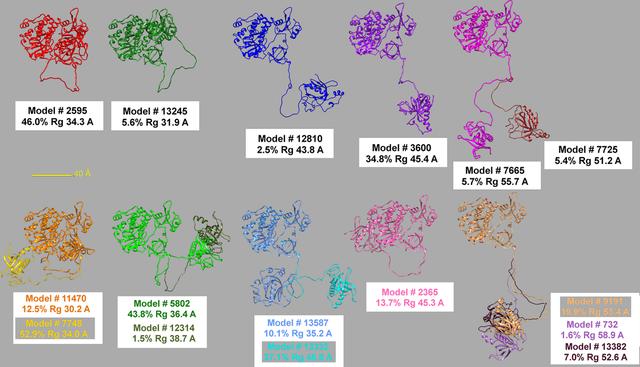 [Figure 10]